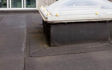 disadvantages of Capel Mawr flat roofs