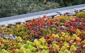the cost of Capel Mawr green roof installation