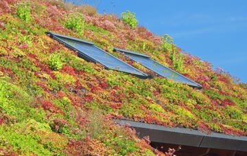 Capel Mawr living roof systems