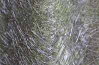 Capel Mawr fibreglass roof work